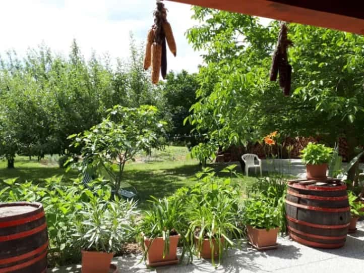 Fehér Rózsa Apartman 2 - Teljes - 4